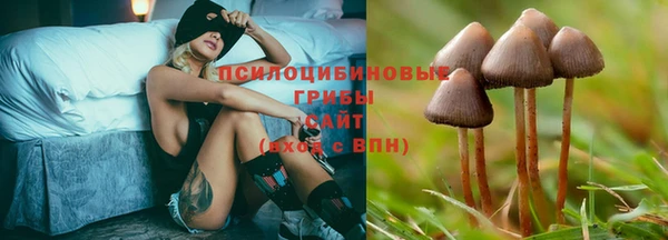 амф Алексеевка