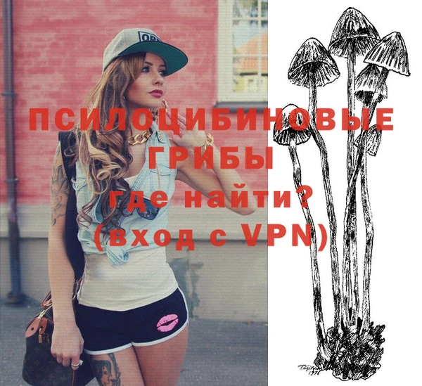 ALPHA PVP Няндома