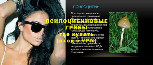 амф Алексеевка